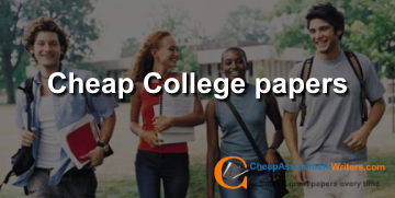 Cheap College Papers