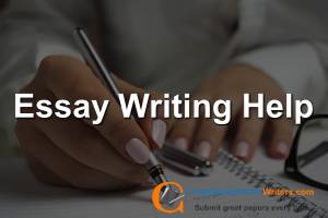 essay writing help