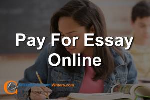 Pay For Essay Online